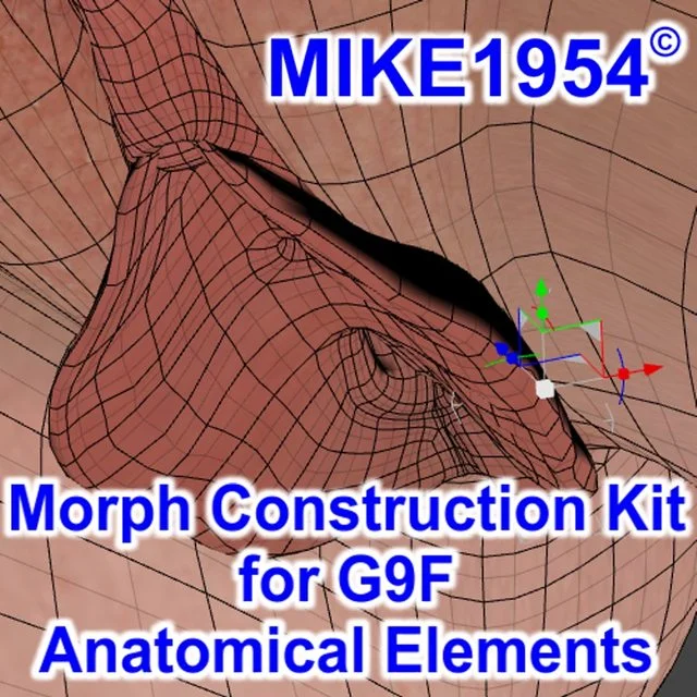 Morph Construction Kit for G9F Anatomical Elements