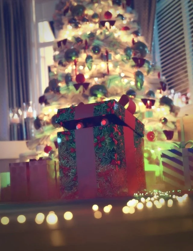 A Curious Christmas Gift (Christmas Freebie)