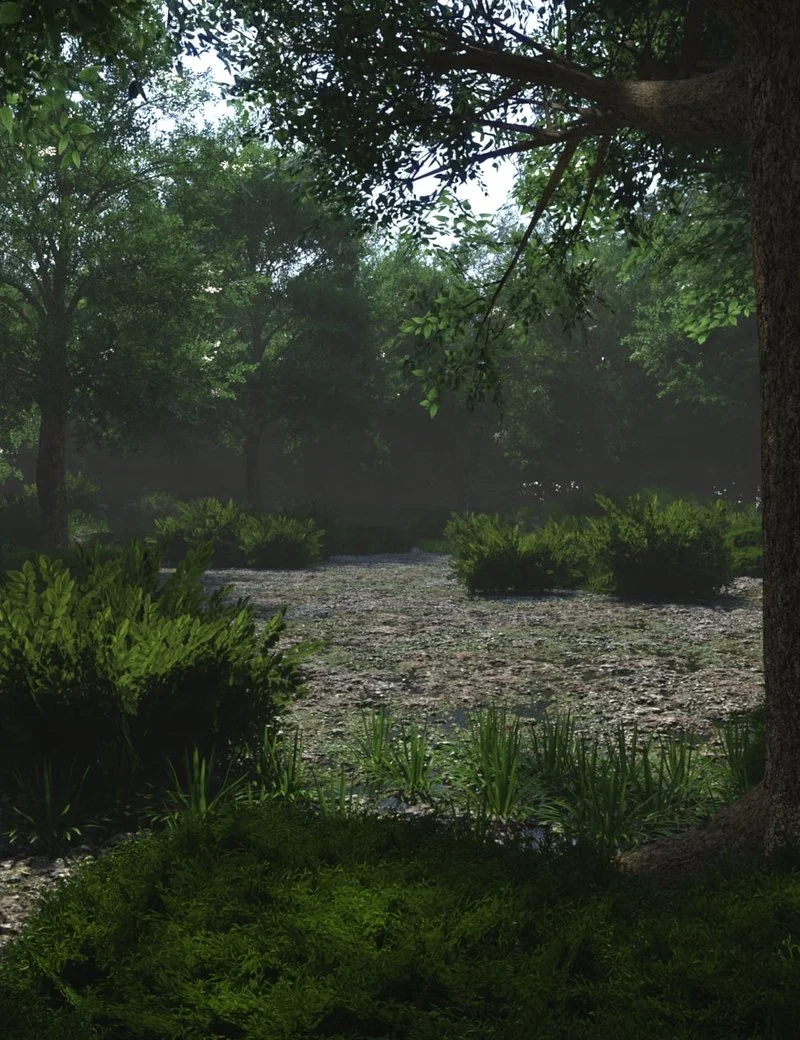 My Jungle 2